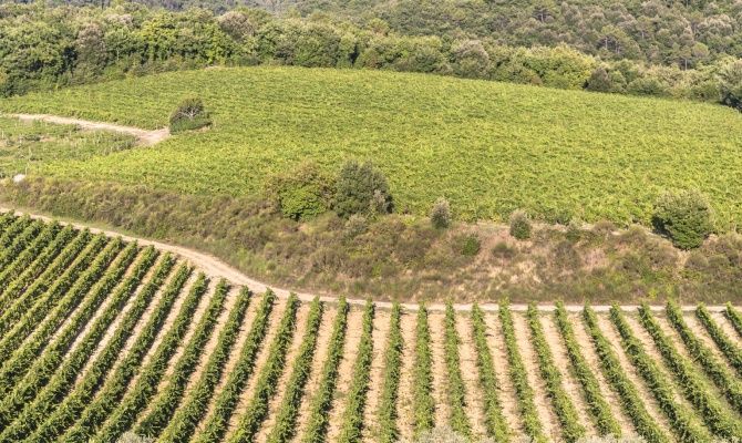 Pedalando sulla Francigena