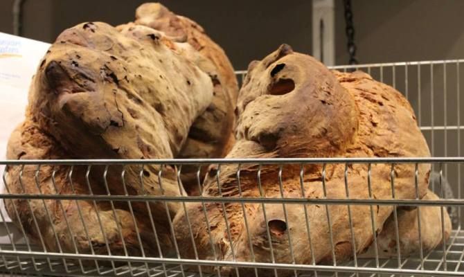 pane, prodotto da forno a base di grano<br>