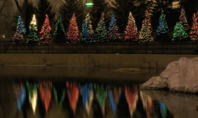 Alberi di Natale