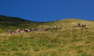 Trekking a dorso d'asino