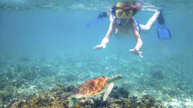 Snorkeling