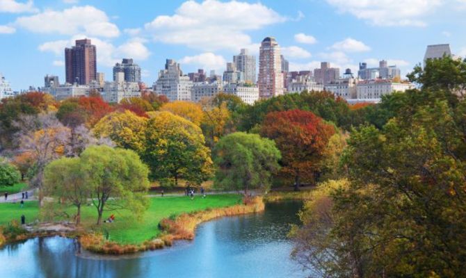 Central Park - New York