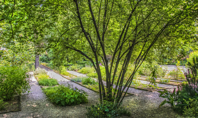 Brera, Orto Botanico