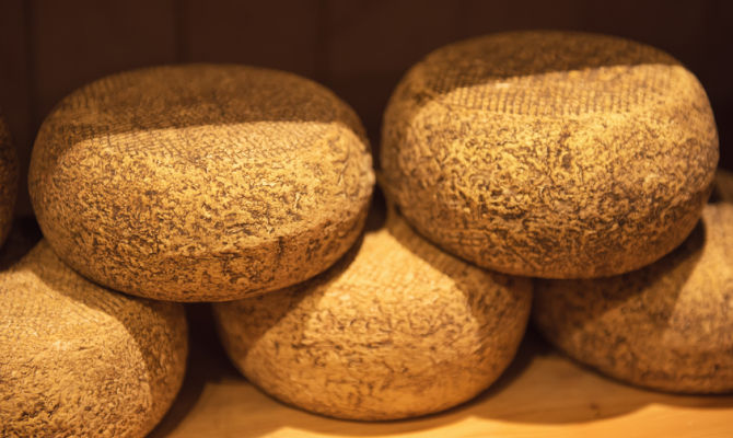 formaggio Dop Toscana