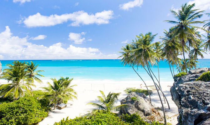 Palm Island