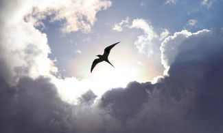 Occhi al cielo per Pasqua e Pasquetta