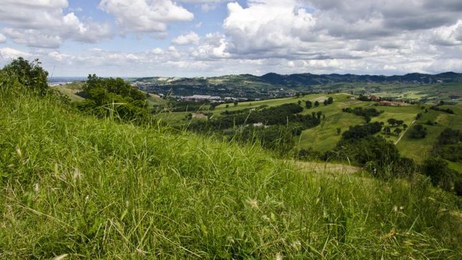 Colline modenesi