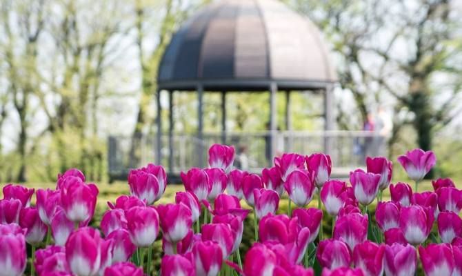 parco giardino sigurtà fiori tulipani