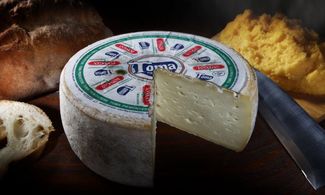 toma piemontese