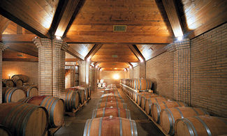 Passione per il vino (bio) nella Valle del Giovenco