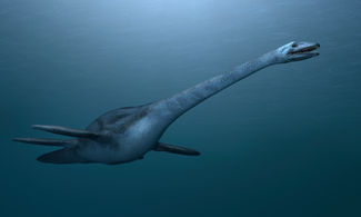 Dinosauro marino