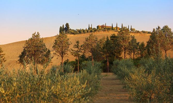 Val d'Orcia