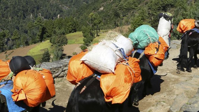 Trekking in Nepal