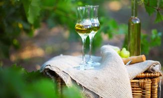 Trentino, tra grappa e storia nell’agriturismo sul Garda