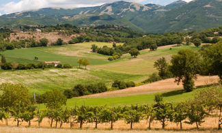 Campagna umbra