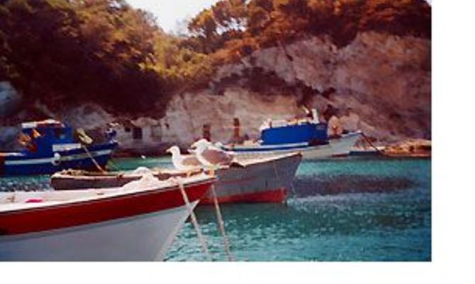 Ponza