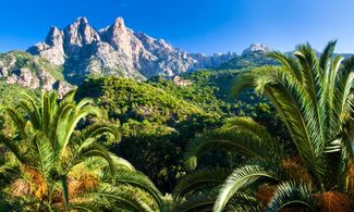 Le più belle foreste della Corsica