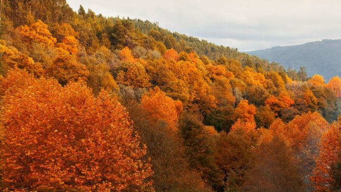 autunno in montagna