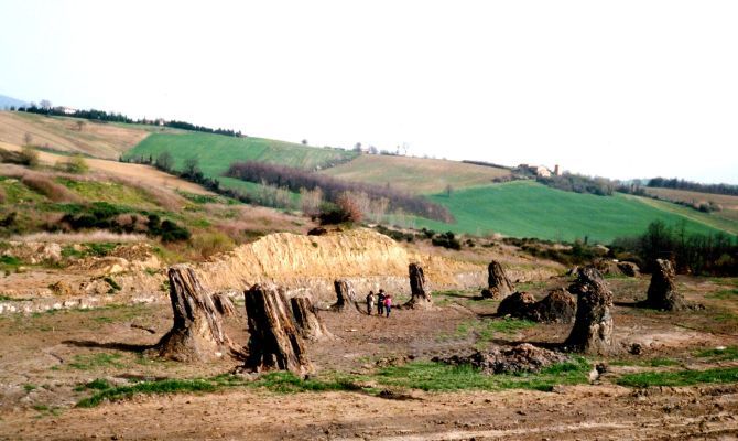 dunarobba foresta fossile umbria alberi