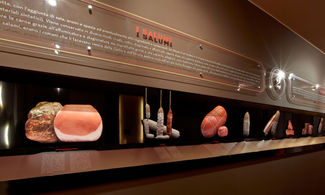 Salumi in vetrina