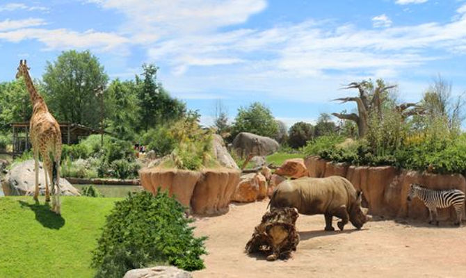 zoom torino parco faunistico animali savana 