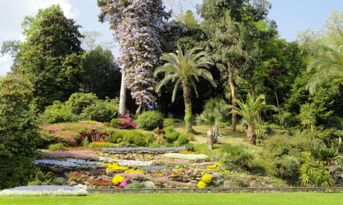 villa carlotta, giardino botanico, como, lago di como, fiori, natura, primavera