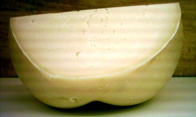 provolone formaggio