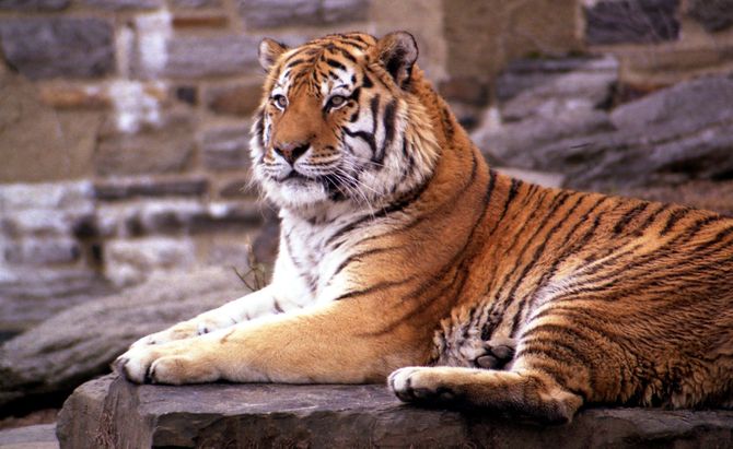 Philadelphia Zoo