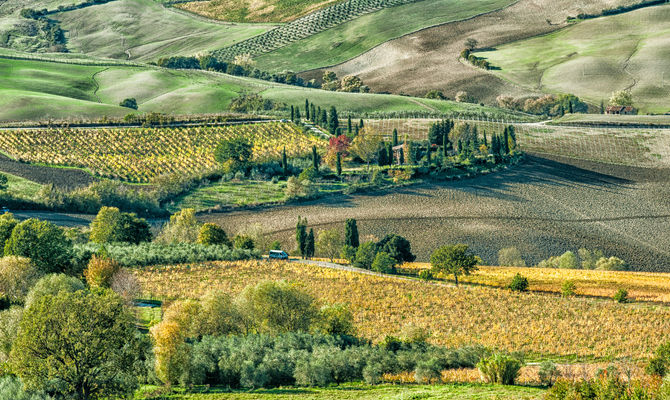 Toscana La Genuinita Della Valdichiana In Agriturismo