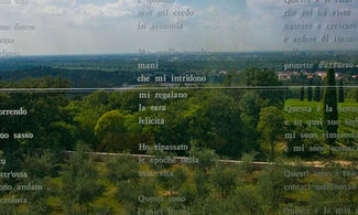 I versi di Ungaretti rivivono nel parco
