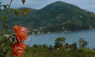 Cinque Terre. Trekking al vino