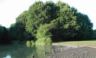 Parco di Milano, Bosco in Città