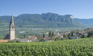 Gioia dei Sensi a Termeno tra poderi e cantine