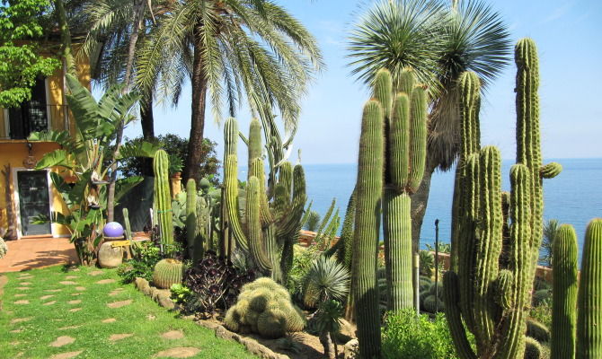 giardino esotico pallanca cactus liguria piante