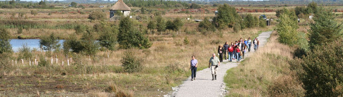 Lough Boora Discovery Park