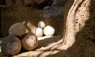 Sassari: la storia del Castello Aragonese e le curiosità 