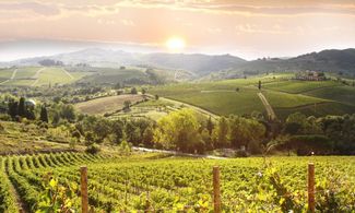 Viaggi a piedi nella campagna toscana