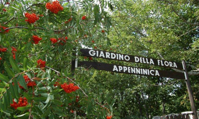 molise giardino della flora appenninica natura italia montagna