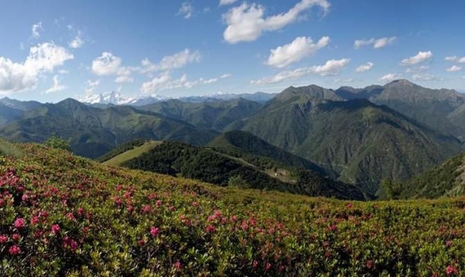 oasi segna piemonte biella natura montagna