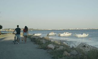 Mektoub, my love: l'Occitania di Sète e dintorni
