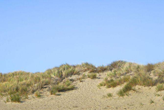 Limantour Beach