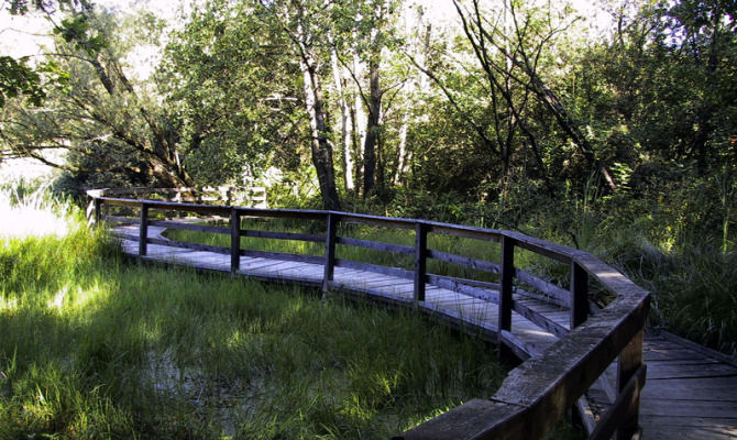 parco delle grane lombardia natura