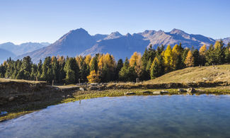 Autunno in Valtellina