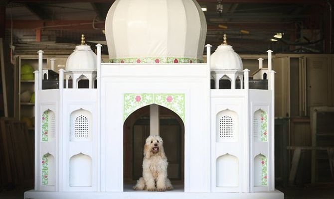 The Taj Mahal Dog House
