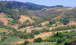 Sapore bio di Calabria alle pendici del Monte Sellaro