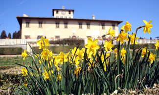 Toscana, le ville e i giardini dei Medici