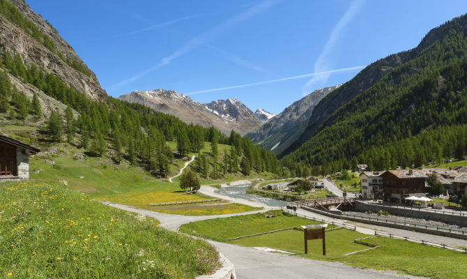 cogne, montagna, estate