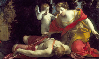 Morte di Adone<br>