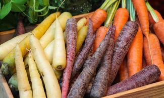 ortaggi, carote di vari colori