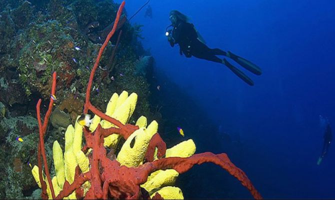 Diving a Cayman Brac